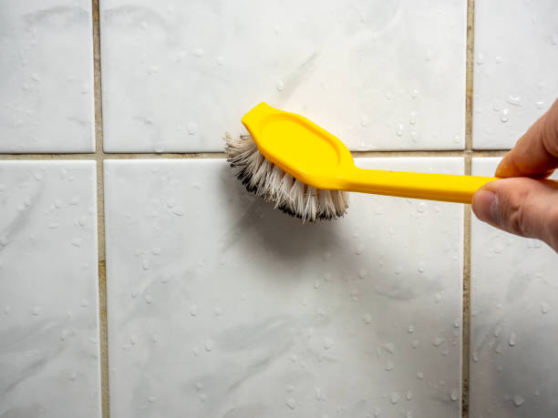 Best Same-Day Mold Removal  in Reynoldsburg, OH