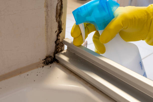 Best Crawl Space Mold Removal  in Reynoldsburg, OH