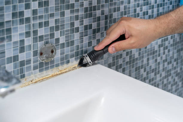 Mold Removal Process in Reynoldsburg, OH